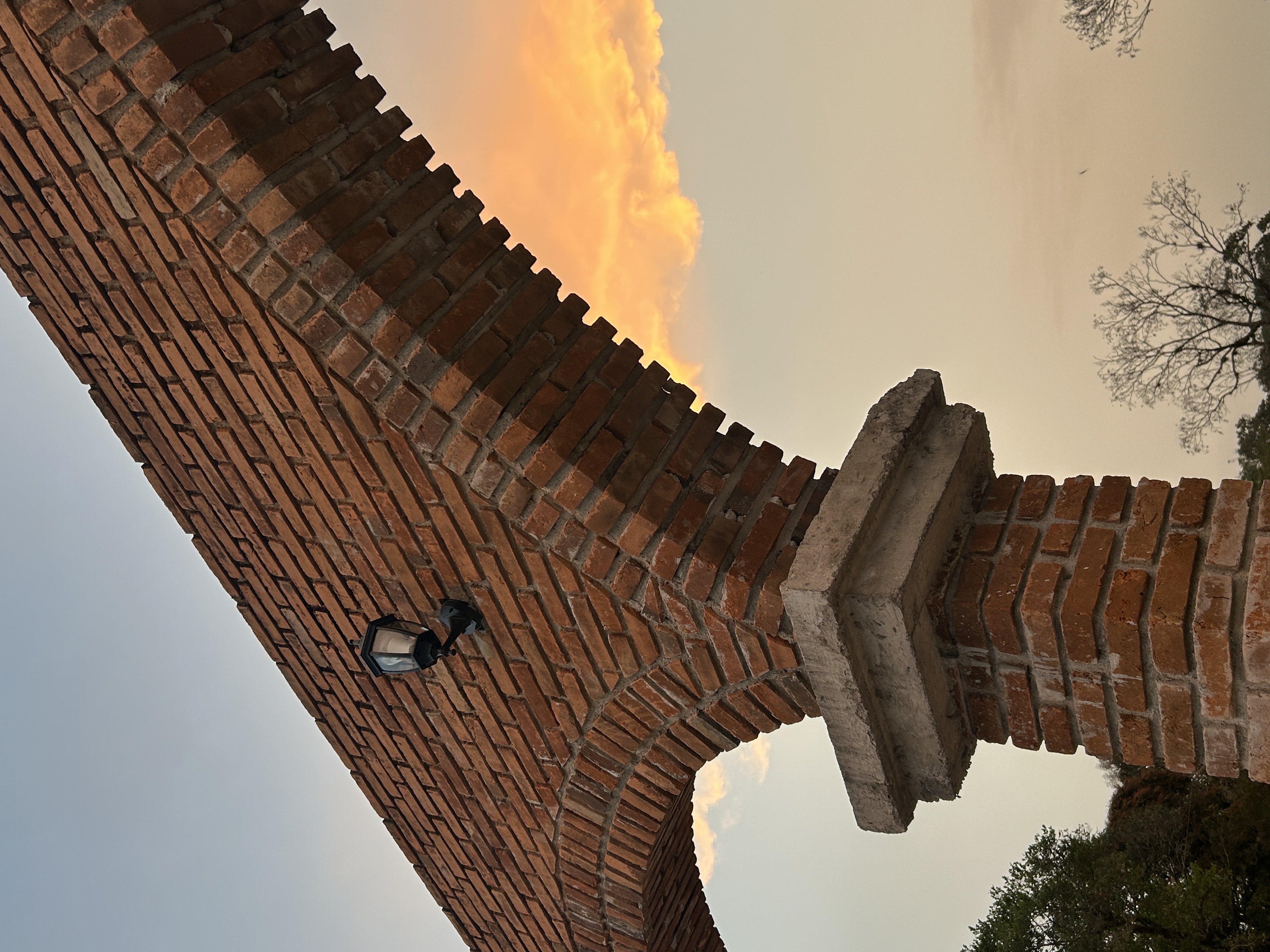 Ra&iacute;ces de Am&eacute;rica vista 3